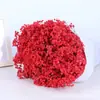 Ramo de flores secas Yongshenghua Gimonis base Yunnan cabello liso flor real decoración de boda materiales hechos a mano DIY