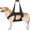 Cinto Auxiliar de Passeio para Cães Idosos, Cães com Deficiência, Cães Idosos, Assistência para Patas Dianteiras e Traseiras para Cães ao Subir e Descer Escadas