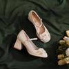 Zapatos de Tacón Medio y Grueso para Mujer Zapatos Mary Jane para Mujer 2025 con Falda Zapatos de Boda Pequeñas Dama de Honor Zapatos de Tacón Grueso para Mujer