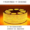 Fita de LED para exterior 220V alta tensão luz para sala de estar, uso doméstico, à prova d'água, super brilhante 1m vem com plugue, economia de energia, dimerizável em três cores