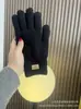 Lindos Guantes de Cinco Dedos de Doble Capa con Combinación de Colores, Tejido de Felpa, Otoño e Invierno, Estilo Coreano, Combinan con Todo, Forrados de Lana, Cálidos, Táctiles