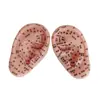Atacado 10cm modelo auricular modelo de orelha orelha orelha área reflexa massagem ponto de acupuntura escrita clara referência da medicina chinesa