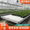 Invernadero de Cama Móvil para Plántulas de Riego por Marea Invernadero de Plántulas de Flores Cama de Plantación por Marea Invernadero de Horticultura Cama Móvil de Plántulas por Marea