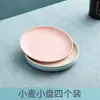 Juego de Vajilla Desechable para Microondas de Cuatro Piezas, Tazón de Grado Alimenticio para Fiesta de Cumpleaños, Palillos, Cuchara, Plato de Plástico para Picnic