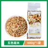 Arroz integral de cinco colores del noreste arroz nuevo venta al por mayor vacío bajo en grasa alimento básico para fitness arroz integral grano de trigo granos integrales granos gruesos