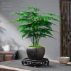 Plantas em Vasos Sala de Estar Estilo Chinês Zen Micro Bonsai Mesa de Escritório Flores Plantas Verdes Pequenas Bonsai Criativo