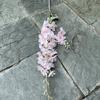 Flor de casamento atacado 2 garfos delphinium Branco Violeta estrada de casamento fundo de liderança mão segurando flor falsa decorativa