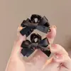 Mini Presilha de Cabelo com Laço Exquisito para Mulheres 2026 Novo Estilo Clipe Lateral de Alta Qualidade Clipe para Franja Acessório de Cabelo de Princesa