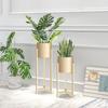 Estilo nórdico flor rack ferro criativo moderno simples piso dourado sala de estar decorativa flor rack interior verde floreira rack