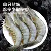 Camarão Grande Equatoriano, Camarão Verde Congelado, Camarões Grandes Congelados Rapidamente, Camarão Não-Qingdao, Camarão Congelado com Sal, Atacado de Frutos do Mar