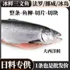 Salmón Entero Refrigerado, Salmón Noruego Islandés Corona de Farro Entero, Suministrado Especialmente para Cocina Japonesa, Salmón Atlántico para Uso Comercial