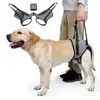 Novo arnês de suporte para patas traseiras de cachorro para animais de estimação ao ar livre transfronteiriço, tipo rede de suporte para patas traseiras de cachorro, tipo rede de suporte para quadril de cachorro