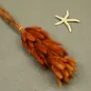 Flores Secas, Cola de Conejo, 60 Piezas/Manojo, Ramo de Lujo Ligero, Adornos de Flores Reales, Pequeño Ramo de Flores Eternas Regalo, Materiales de Flores Reales