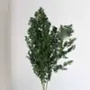 Flores Verdes Eternas, Atmosfera de Primavera, Buquês para Loja, Decoração de Roupas Femininas, Materiais Florais de Galhos Secos, Cena de Arranjo Floral para Recepção