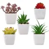 Planta Suculenta Simulada Vaso de Plástico Bonsai Mini Pequeno Quadrado Planta em Vaso Es0510 Alta Simulação Planta Verde