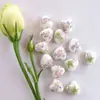 Calcomanía de Corazón de Melocotón Cuentas de Cerámica con Perlas Cuentas de Cerámica Estilo Chino Accesorios Hechos a Mano para DIY Pulsera Accesorios para Collar Material