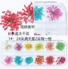 Novo Conjunto Estilo Japonês Embalado 12 Cores Estrela Girassol Margaridinha 12 Cores Decoração de Flor Seca 24 Flores Secas para Unha