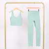 Conjunto de Chaleco en U y Pantalones Cortos Lulu Df con Etiqueta, Disponible para Envío Directo, Cuello Alto Ajustado, Conjunto de Yoga Elástico