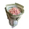 Papel de Regalo Floral Estilo Amazon, Papel de Plumas Jardín de Rosas, Material Floral Impermeable, Papel para Envolver Ramos, Papel de Envoltura para Flores