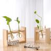 Vaso de Vidro com Moldura de Madeira Criativa Suporte Decorativo para Plantas Verdes Hidropônicas de Mesa Decoração de Casa Artesanato para Arranjo de Plantas e Flores