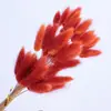 Hierba de Cola de Conejo Seca, Flores Preservadas, Materiales para Ramo de Flores Secas Transfronterizo, Accesorios para Fotografía, Hierba de Cola de Zorro Colorida, Venta al por Mayor de Fábrica
