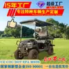 Carrito de Golf Eléctrico Atracción Turística Coche de Cuatro Ruedas para Paseos Venta Directa de Fábrica Exportación de Comercio Exterior 4 Plazas Transfronterizo