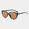 Óculos de Grau Color-Changing de Venda Quente de Verão Transfronteiriços, Proteção Ocular Fotocromática Estilo Gatinho, Armação Slim com Visual Natural
