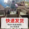 Hilo de Poliéster de Colores para Coser Bolsas, Hilo de Sellado para Máquina de Coser de Bolsos de Mano, Hilo de Sellado para Empaque de Bolsas Tejidas, Hilo para Zongzi, Hilo y Aguja de Alta Resistencia