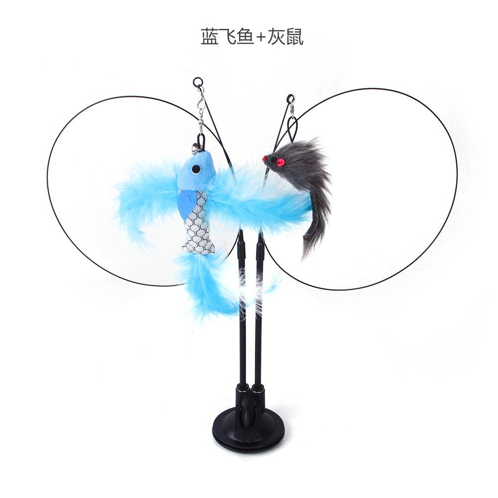 蓝飞鱼+灰鼠