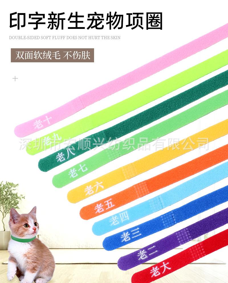 10色宠物圈详情_01.jpg