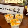 Caja de Mango, Pastel Munchkin, Mousse, Tiramisú, Capas de Chocolate de Leche de Soya, Oreo, Caja de Postre de Aserrín