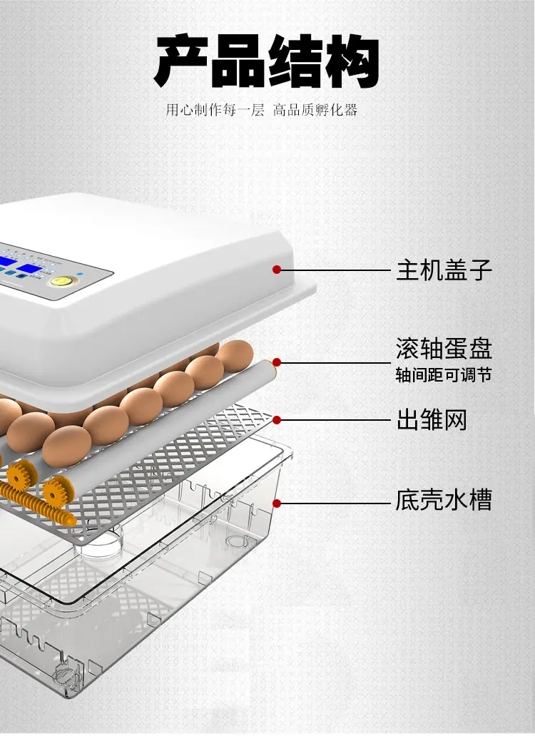详情6