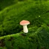 Musgo Micro-Paisagismo Criativo Cogumelos Artificiais Floresta Bonsai Jardinagem DIY Decoração de Paisagismo Acessórios Pequenos Enfeites