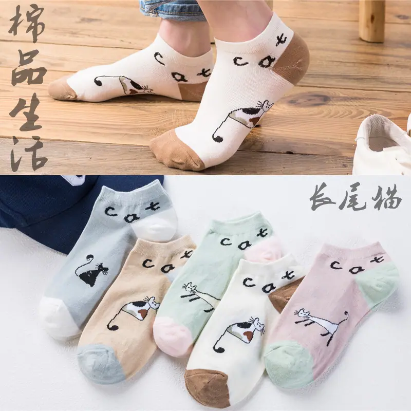 长尾猫 (1)