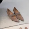 Versión de piel de oveja 2026 nuevos zapatos Mary Jane de estilo francés suave con correa elástica para mujer, tacón de cuña, punta fina, corte bajo, zapatos de vestir elegantes