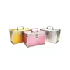 Caja de Almacenamiento Portátil para Cosméticos de Viaje Caja de Manicura Caja para Técnico de Pies Caja de Bordado de Orejas Caja de Herramientas de Aleación de Aluminio