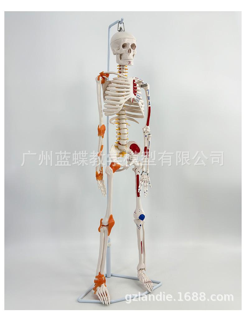 详情_07