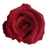 Cabezas de Flores de Rosa de Terciopelo de 10 cm con Tacto Realista, Flores Artificiales para Decoración de Bodas, Decoración del Hogar, Flores Artificiales, Flores Artificiales al por Mayor