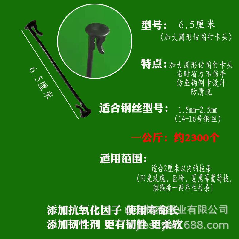 6。5