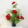 Ropa Nueva de Navidad Shengyuan, Calcetines, Gorros de Navidad, Decoraciones para Árbol de Navidad, Colgantes para Ventana, Colgantes en Stock