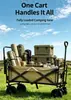 Carro Plegable Desmontable Estilo Panda para Exteriores, Carretilla de Mano para Camping, Picnic, Pesca