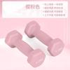 Juego Completo de Mancuernas Recubiertas de Plástico para Mujeres y Hombres, Gimnasio en Casa Yoga Ejercicio Mancuernas Pequeñas, Juego de Mancuernas de Hierro Puro Fundido Sólido