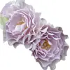 Plántulas de Flor Rosa de Flujo Transparente de una Pieza para Envío Directo Arbustos en Maceta Plantas y Flores de Jardín para Patio Terraza Floración Multitemporada