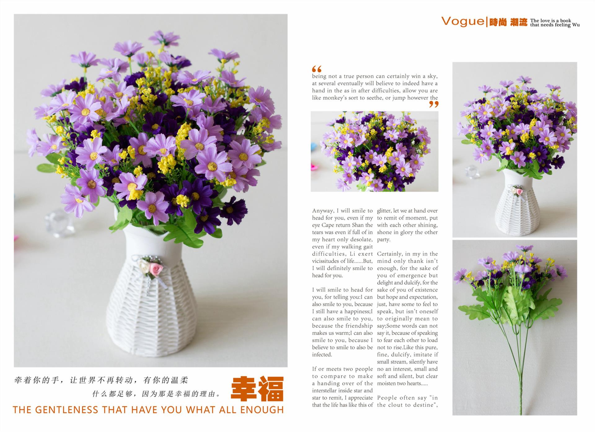 28头跳兰菊
