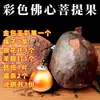 Coração de Buda Matéria-Prima Semente de Bodhi Fruto de Bodhi Raiz de Bodhi Pingente Fruto Cru Colar Oco Shakyamuni Bodhi de Mil Olhos