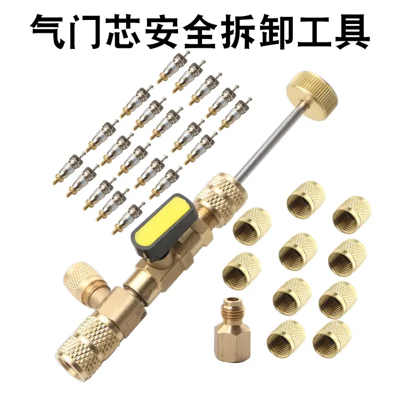气门芯