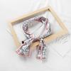Estilo chique feminino novo boxer pequeno cachecol estilo coreano cachecol longo dupla face primavera e outono versátil estreito decorativo faixa de cabelo