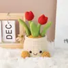 Planta Suculenta Tulipán de Venta Caliente Transfronteriza Maceta Pequeños Adornos para Escritorio de Oficina Regalos de Tejido de Lana para Maestros y Mejores Amigos