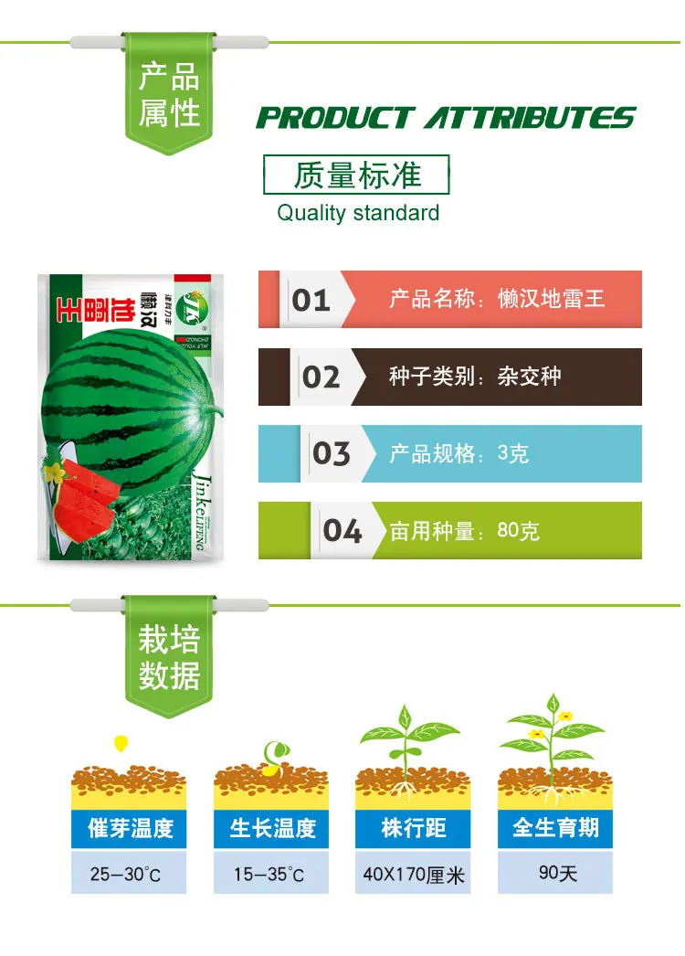 懒汉地雷王8