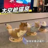 Novo Ninho para Gato Cápsula Espacial, Adequado para Todas as Estações, Ninho de Gato de Verão, Brinquedo Giratório para Gato, Cama para Gato, Brinquedo Tudo-em-Um para Gato